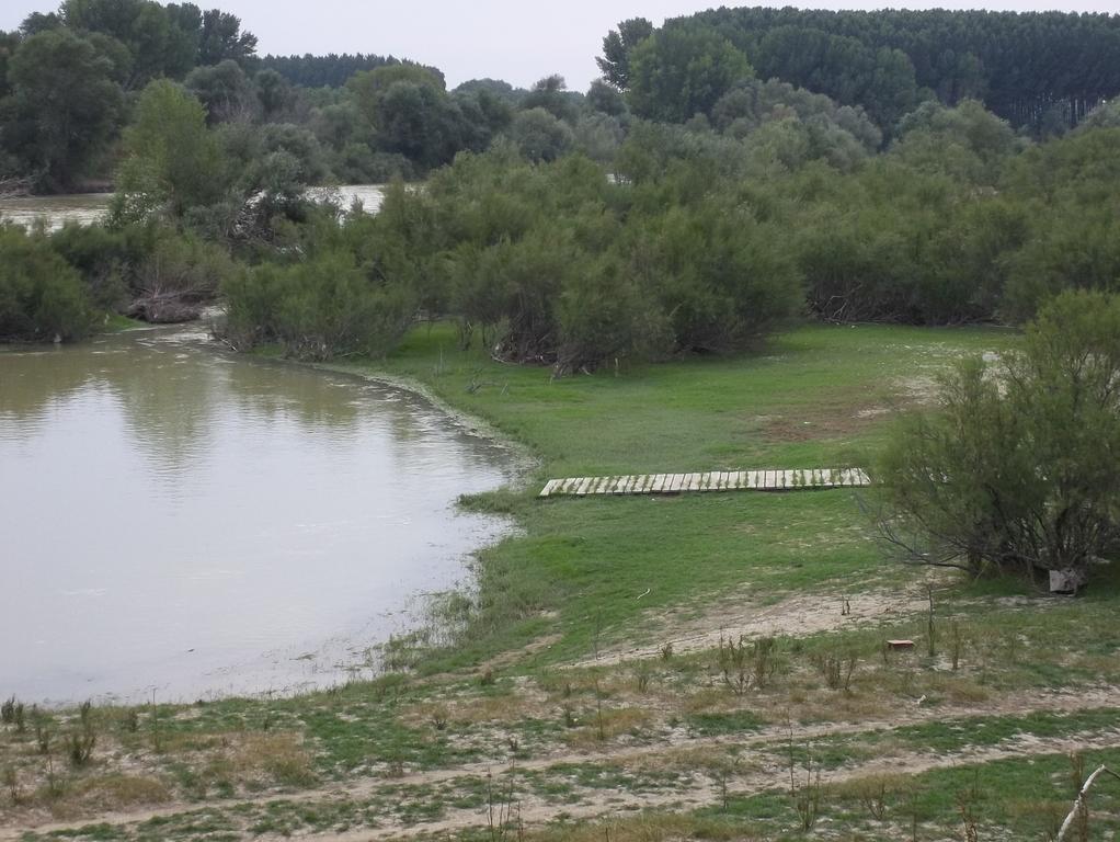 La Palmera de la Insula Alcala de Ebro Exterior foto