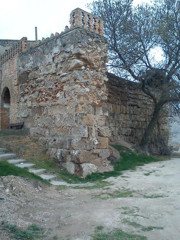 La Palmera de la Insula Alcala de Ebro Exterior foto
